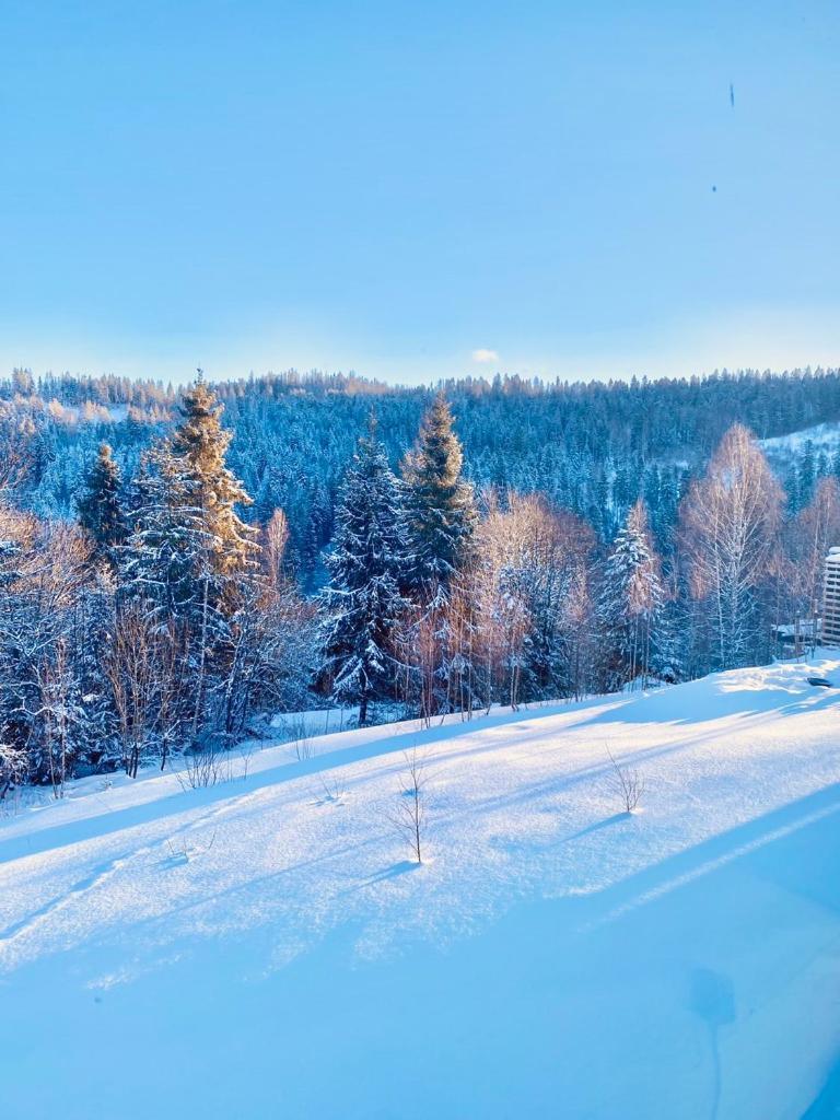 Mount Hotel Slavske Esterno foto
